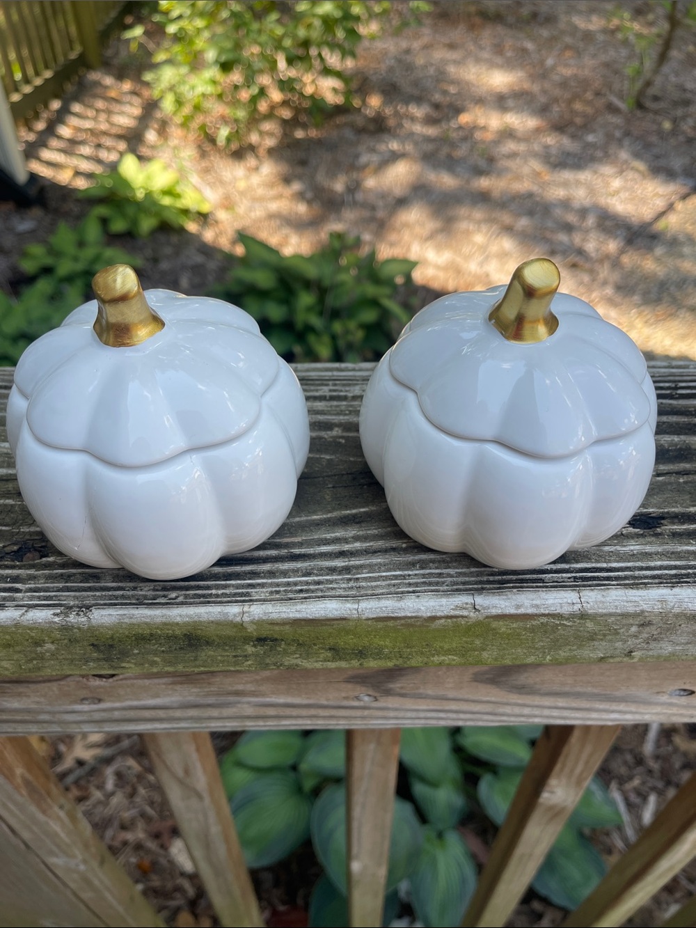 Ceramic pumpkin canister set
